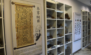 Preserving the Legacy of Sang Hwang for Future Health