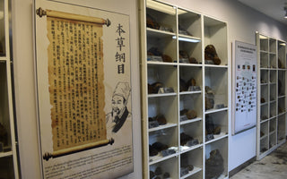 Preserving the Legacy of Sang Hwang for Future Health