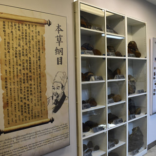 Preserving the Legacy of Sang Hwang for Future Health
